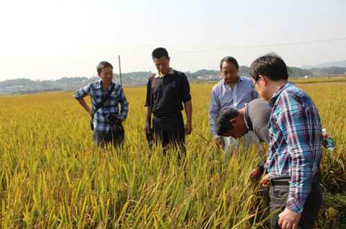 ���ϳ�ɳ��ũҵ����֯�����󻧹�Ħȫ�̻�е��ˮ����������ʾ��