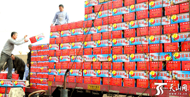 ���ŵ�һʦ����������ũ��ְ����װ����ɫ�츻ʿƻ��