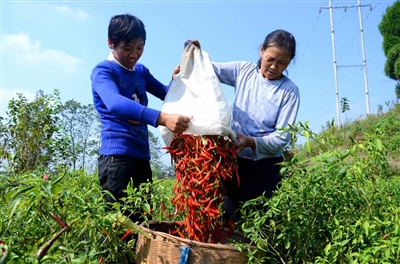 �������أ��������������̼���������