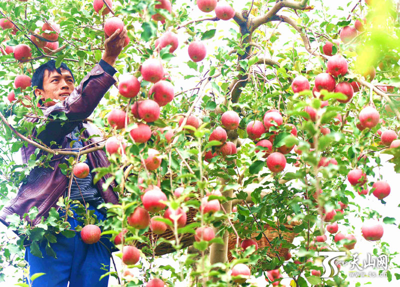 ���ŵ�һʦ����������ũ��ְ���ڲ�ժ��ɫ�츻ʿƻ��