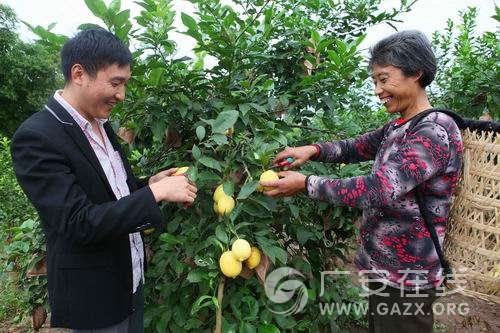 �Ĵ��㰲��ɫ������ũ����