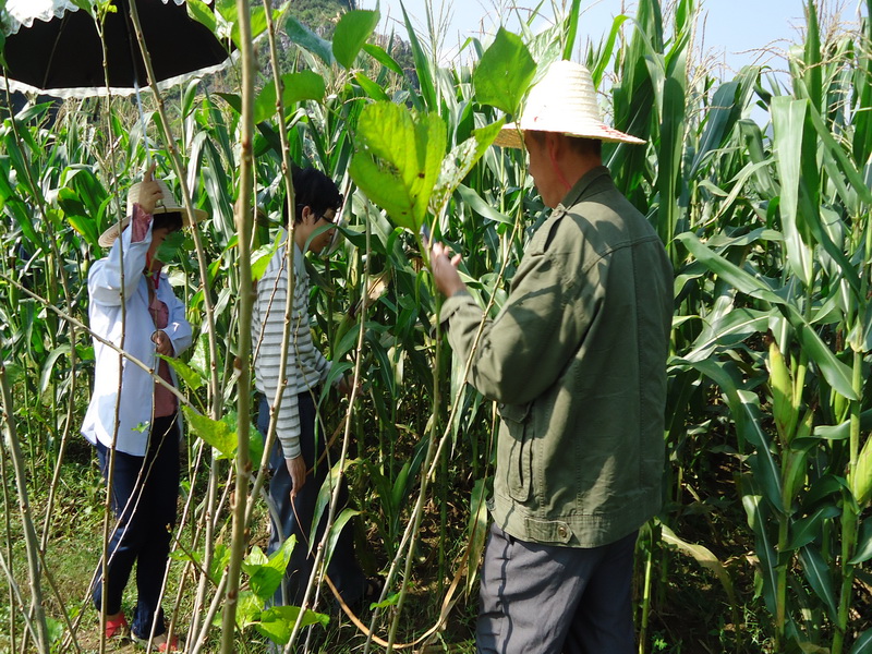 �����ó���ũҵ�������������ʾ��Ƭ�鿴��Ŀ����