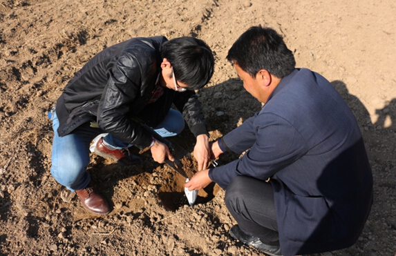 ���������أ���������ɫ��֤������