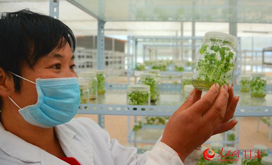 ����¤������Ȩ��Ѻ������ũҵ�������·Խ��Խ��