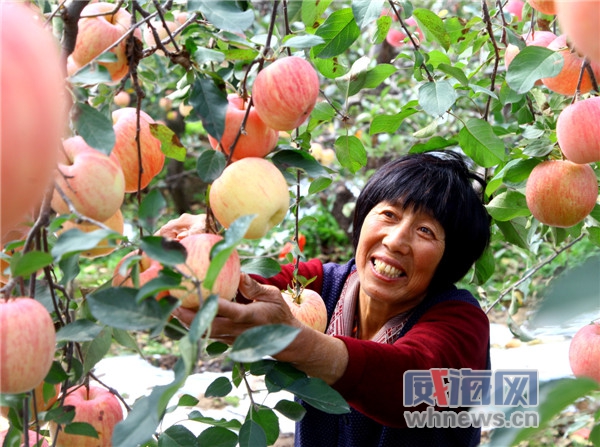 ɽ������������Ⱦɫ ƻ������Ϳ��������