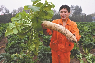 天津港经济型种植养殖初显规模 区域面积达8.5万平方米