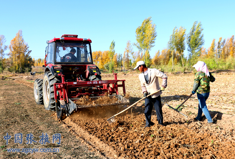 ����������Ѽů��ҩ����ֲ���ջ������2