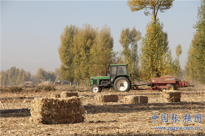 �����̨��������ũ���Ӷ�ոѴ��������