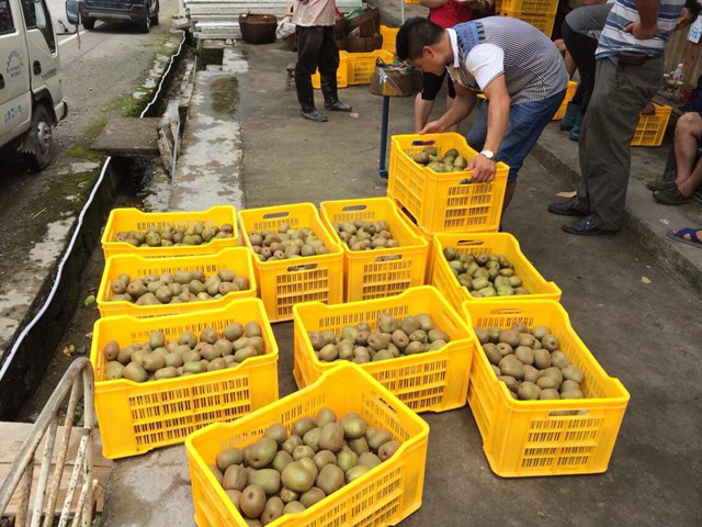 ������ʤ⨺���ʾ�����Գ�Ч