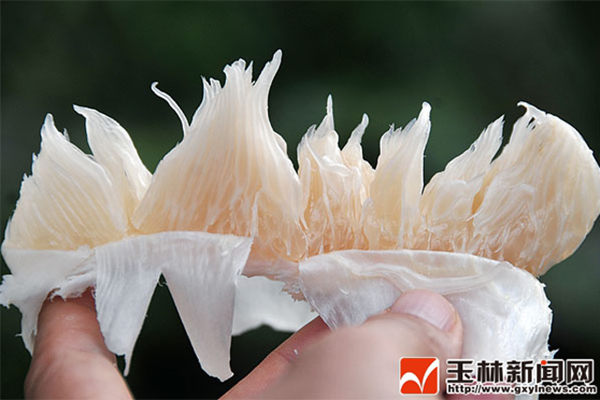 ɳֹϺɫӨ͸ɿڡɳֹϺɫӨ͸ɿڡ