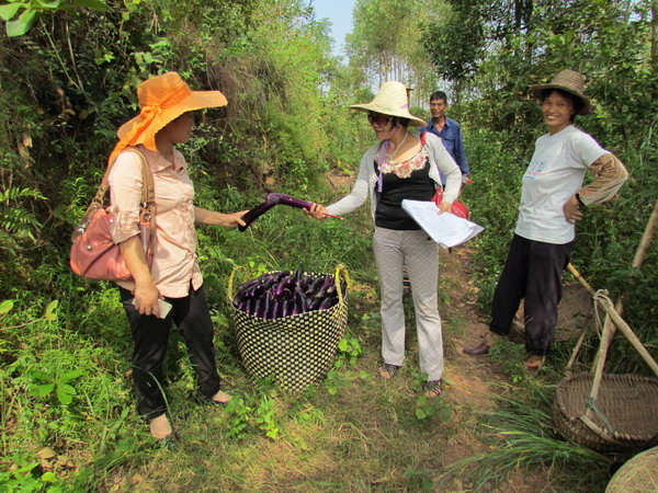 ���������������������ѹ�Ч��ɹ�