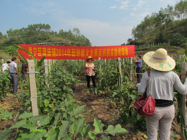 ���������������������ѹ�Ч��ɹ�2