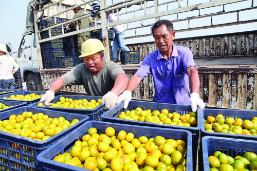 ����ȫ�ݣ�����ʱ�ڹ�Ʈ��