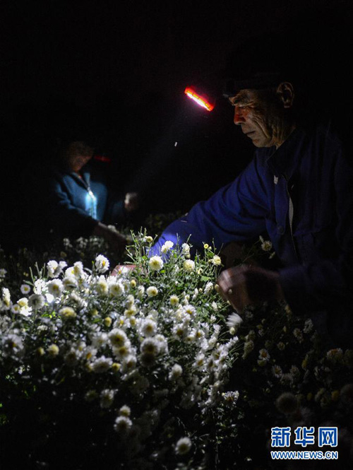 111ͩʯͬǴľũ֣ңͷЯƣھջպ׾ա