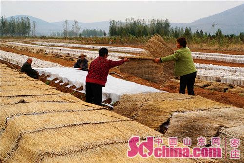 ɽ����ׯ���������ľ�����ϡ���ů�¡�