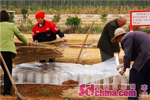 �����Ǹ���ľ��Ӫ�����Ӹ����ϱ�Ĥ�Ͳ�ɻ�ӱ�ů