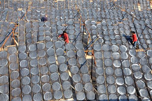 ɽ¶«ÒÊÔ´·ÛÖÆÆ·×ö³É¡°´ó²úÒµ¡±