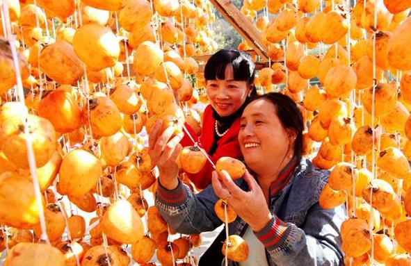 ������أ��������Ӻ��� ɹ����������