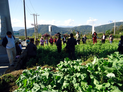 �����ڳ壺ũ�����ն���æ�����ʿƼ�������