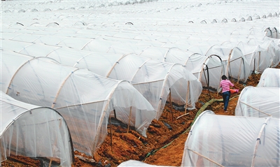 ������ˮ���������ڱ��ֺ�