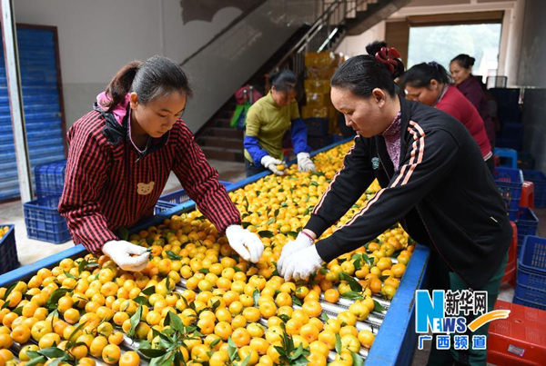 �����𱱸̽�ȫ������