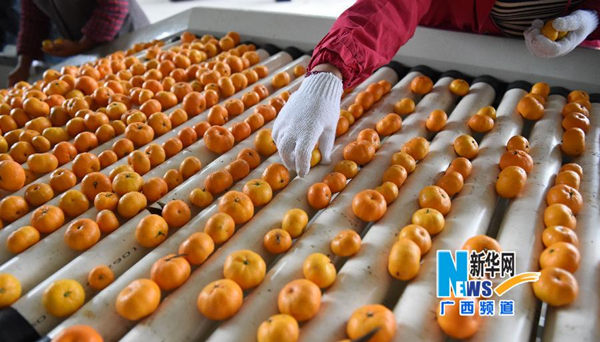 11��5�գ��ڹ����˰��ؽ�����һ��ˮ�������г�����������ѡˮ��׼����װ������