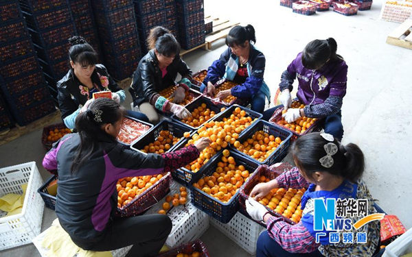 11��5�գ��ڹ����˰��ؽ�����һ��ˮ�������г�����������ѡˮ��׼����װ������