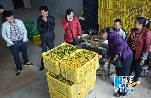 11��5�գ��ڹ����˰��ؽ������ˮ�������г�����ũ���չ����ڽ���ˮ�����ס�