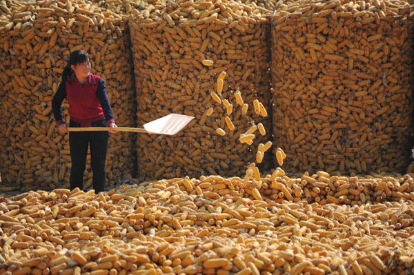 114գɽ˳Ȫ򶫺ũƼɹס