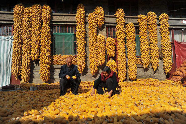 114գɽ˳Ȫũ󣩺ϰﰮڶѷɹ