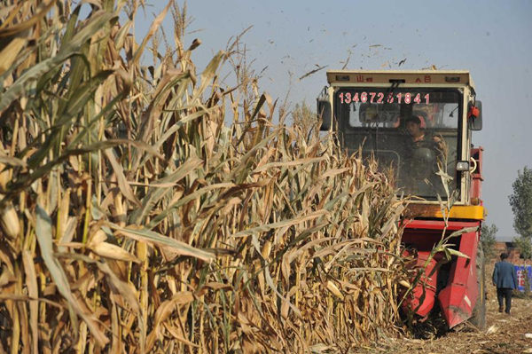 114գɽ˳Ȫ壬һ̨ո