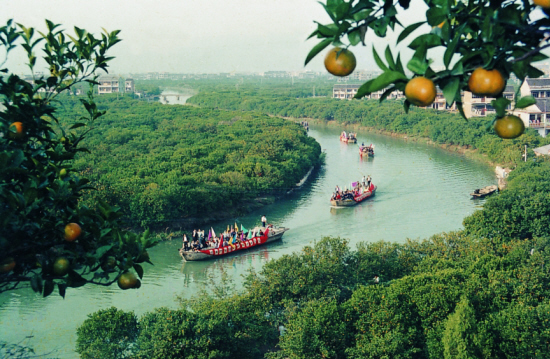 澄江如练,橘林似锦。