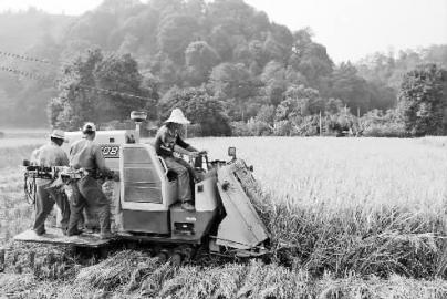 ����������Ԫ�����ũ�������շ���æ