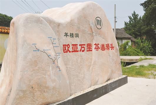 湖北赤壁茶产业蓬勃发展