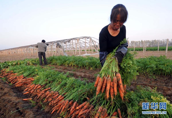 �ӱ����壺���ܲ������¸�����Ԫ����