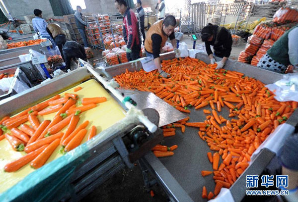 11��5�գ��ӱ��������������ܲ����ع����ڷּ���ܲ���