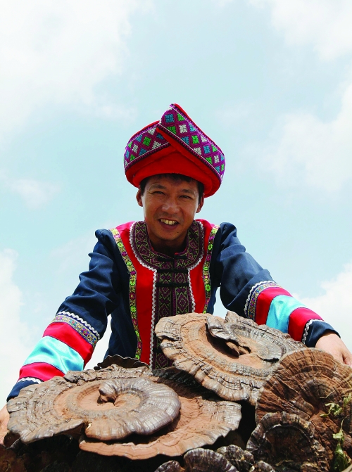 秦德宏向镜头展示采收回来的野生灵芝。