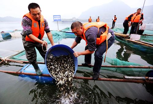 �����������г�����ֳ�����