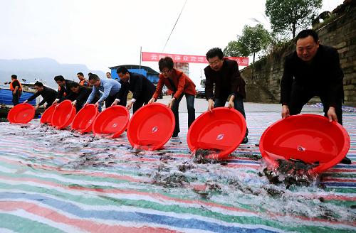 11��12�գ��μ�Ͷ�ŵ���Ա������Ͷ�볤��֧����Ϫ�ӡ�