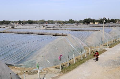 11��12�գ����������ׯ�壬һλ�����ﳵ�����߲˴��