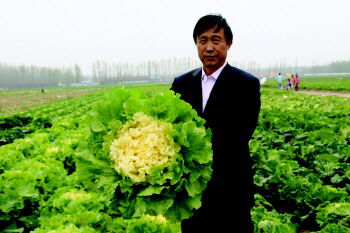 ɽ����6��Ķ���ݰײ˷�������