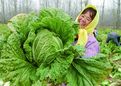 ɽ�����ݰײ˴���� ��ũ�ֿ���