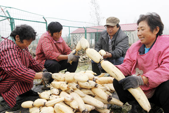 ���ջ�������ź����