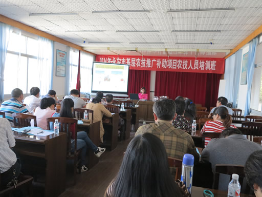 福建永安:推广应用水肥一体化技术