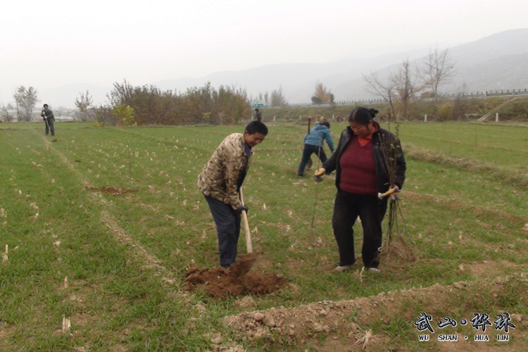 ������ɽ���������＾��԰����ϲ��