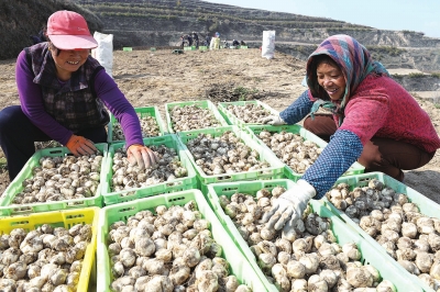 �������ݣ�ũҵȫ��ҵ����ƶ���п�Ϊ