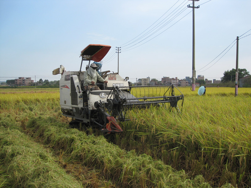 ��������������ո������85%