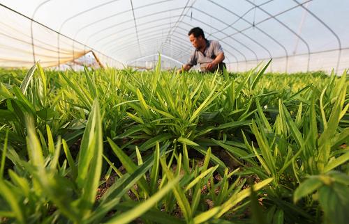 1114գвӹʾ̫ƽͣزũڴ߲ˡ