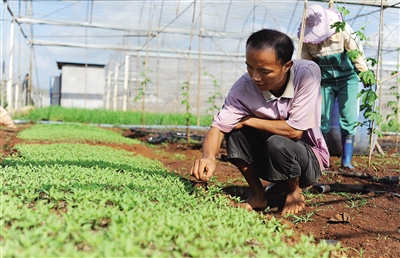 ���Ϻ��ڣ������ϲ� ����ϲ��