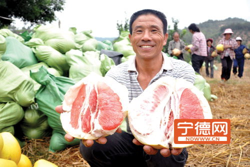 �������½��ǰ˶���������ϲ���� ����Ц����